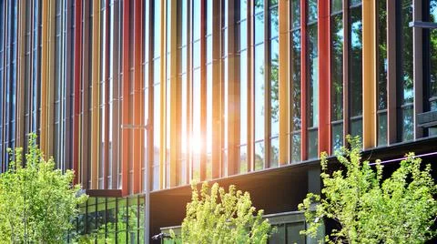 Eco architecture. Green tree and glass office building. Stock Photos