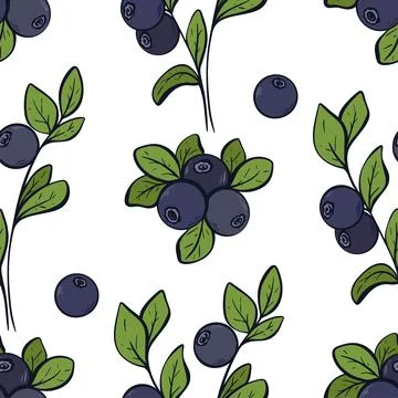 Eco background with blueberries vector illustration Stock Illustration