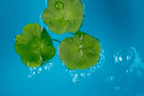 Eco background image Stock Photos