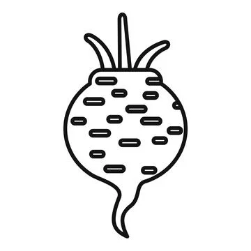 Eco beetroot growing from ground with sprout Stock Illustration