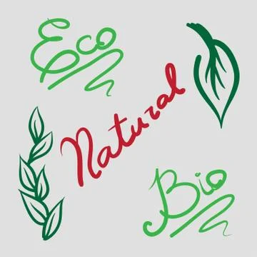 Eco bio organic vector set hand drawn Stock Illustration