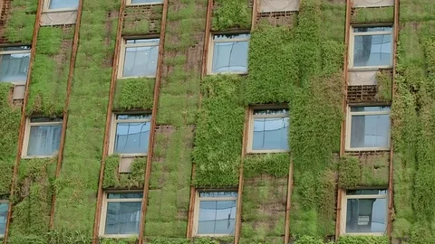 Eco building with plants Video stock 77049449