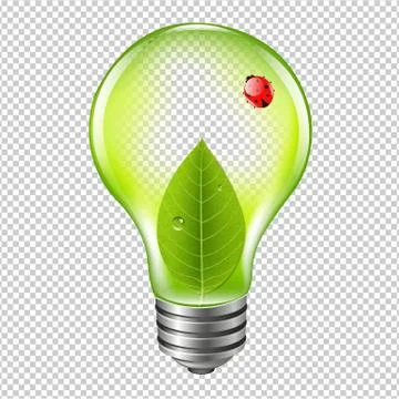 Eco Bulb With Ladybug Stock Illustration