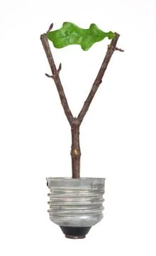 Eco bulb Stock Photos