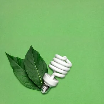 Eco bulb. Stock Photos