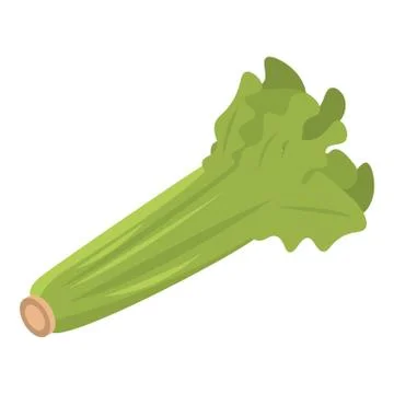 Eco celery leaf icon, isometric style Illustrazione stock