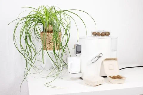 Eco coffee setup with compostable capsules and houseplant in natural light 스톡 사진