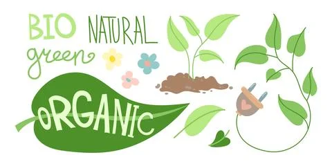 Eco concept illustration featuring bio, organic, and green text, with plants Stock Illustration