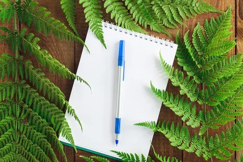Eco concept notepad, eco-friendly paper pen and green leaf Stock Photos
