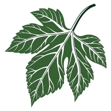 Eco Concept Single Green Leaf Vector Illustration Illustrazione stock