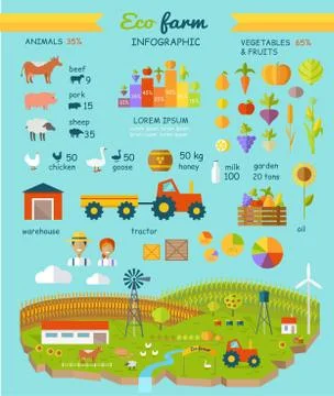 Eco Farm Infographic Elements Vector Flat Design Stock Illustration