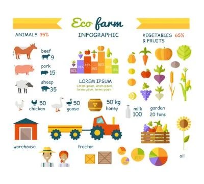 Eco Farm Infographic Elements Vector Flat Design Stock Illustration