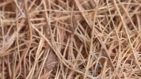 Eco Fiber Sponge Surface Video stock 134664425