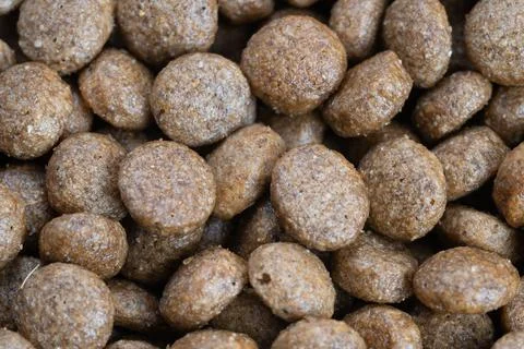 Eco focused kibble texture with traceable grains, earthy pellet tones and rustic 스톡 사진