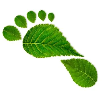 Eco footprint Illustrazione stock