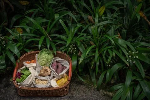 Eco friendly and reusable zero waste cotton bags in basket Foto stock