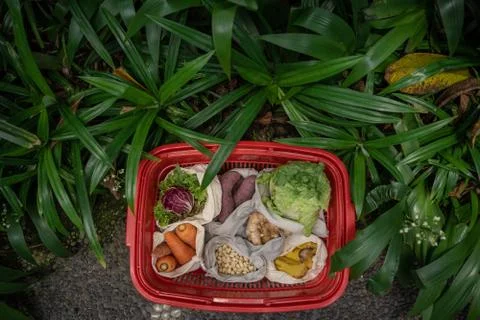 Eco friendly and reusable zero waste cotton bags in basket Stock Photos