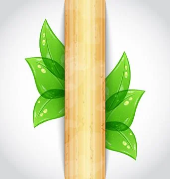 Eco friendly background with green leaves, wooden texture Stock Illustration