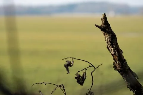 Eco-friendly background Stock Photos