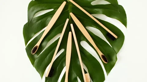 Eco-friendly biodegradable Bamboo toothbrush. No plastic. Conscious minimalism 動画素材 245363413