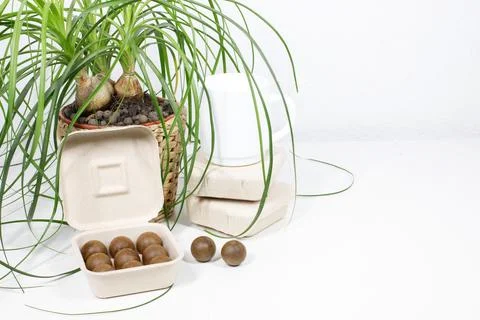 Eco friendly biodegradable paper box with healthy protein snack balls near .. 库存照片