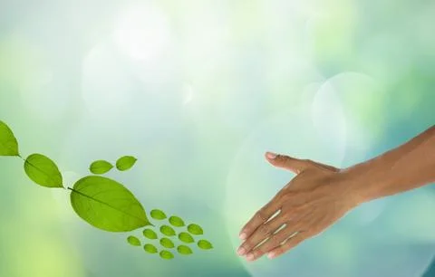 Eco-friendly concept. Stock Photos