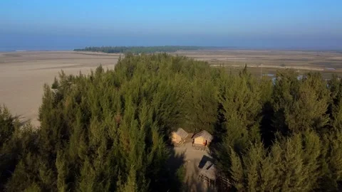 Eco friendly cottage nestled within tamarisk forest near coastal sandy terrain Stock Footage 328586424