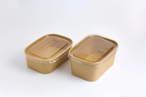 Eco-Friendly Disposable Lunch Boxes with Lids Stock Photos