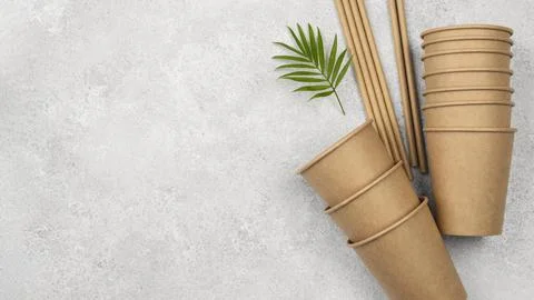Eco friendly disposable tableware leaves Stock Photos