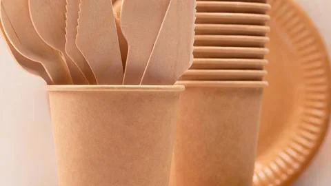 Eco friendly disposable tableware set for picnics and parties Stock Photos