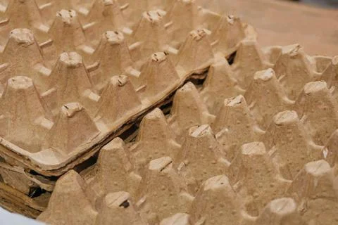 Eco-friendly egg pulp board. egg storage and transportation mold Stock Photos