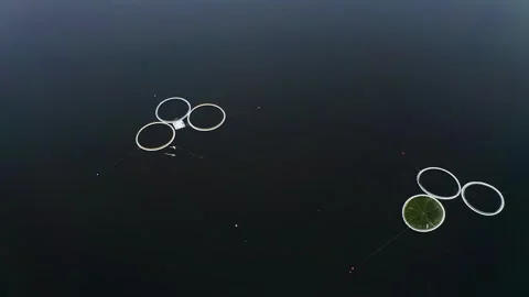 Eco-Friendly Fish Breeding: A Winter Drone Perspective. Aerial drone shot Stock Footage 274344957
