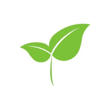 Eco-Friendly Green Leaf Stock Illustration
