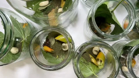 Eco Friendly Jars Stock Footage 313364017