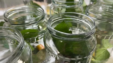 Eco Friendly Jars 스톡 동영상 313867564
