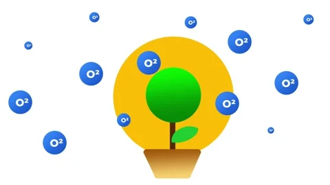 Eco Friendly Lightbulb Stock Footage 335624405