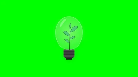 Eco-Friendly Lightbulb with Growing Green Sprout and Emerald Leaves on Gree.. Stock Footage 346611314