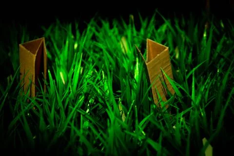 Eco-friendly material cardboard grows from grass cardboard in grass Stock Photos