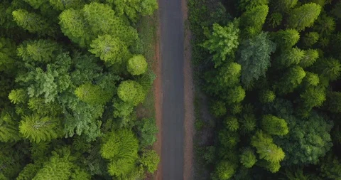Eco friendly is the new cool Stock Footage 119006455