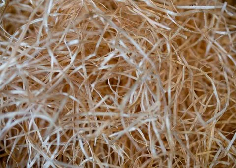 Eco-friendly packaging concept Foto stock