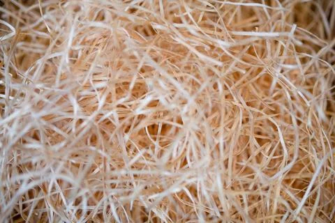 Eco-friendly packaging concept. Stock Photos