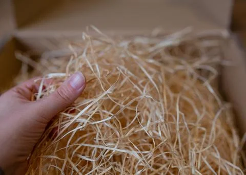Eco-friendly packaging concept. Stock Photos