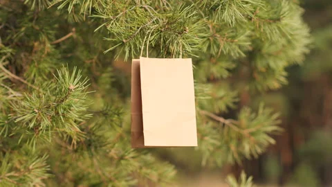 Eco-friendly packaging. Paper bag for shopping or delivery on tree brunch Video stock 228852418