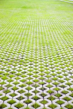 Eco-friendly parking Stock Photos