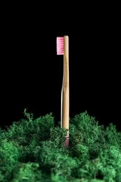 Eco friendly product concept. Zero waste bamboo toothbrush with pink bristle Stock Photos