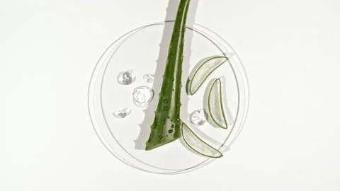 Eco friendly products on white backgroun... | Stock Video | Pond5