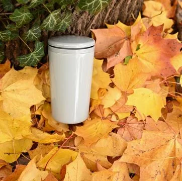Eco friendly reusable mug sitting among bright yellow maple leaves in autumn  Stock Photos