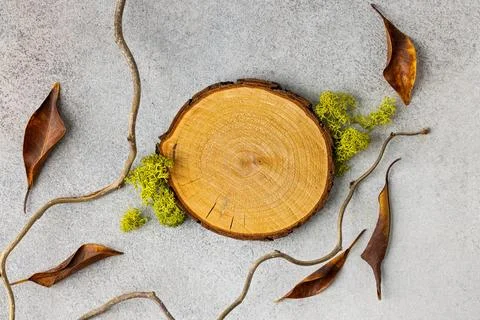Eco-Friendly Rustic Background with Tree Slice, Moss, and Twigs for Nature-.. Stock Photos