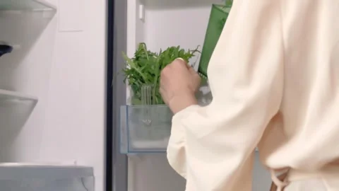 Eco Friendly Storage of Green Vegetables in the Fridge. Healthy Stock Footage 311053626