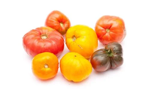 Eco friendly tomatoes Stock Photos